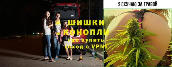 mdpv Киров